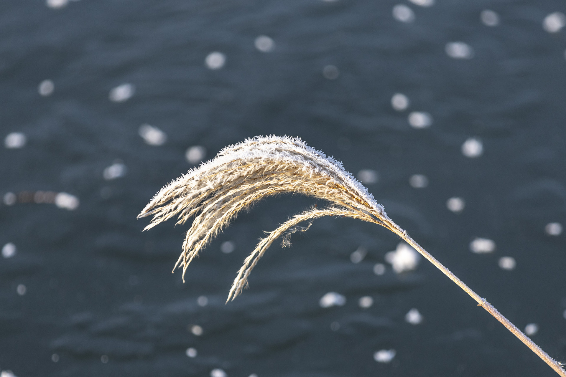 小雪节气出生的男孩命运如何